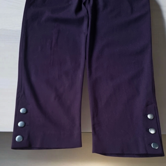 VAN HEUSEN Maroon Stretch Slip-On Pants With Snaps on the Pant Legs - Picture 4 of 9